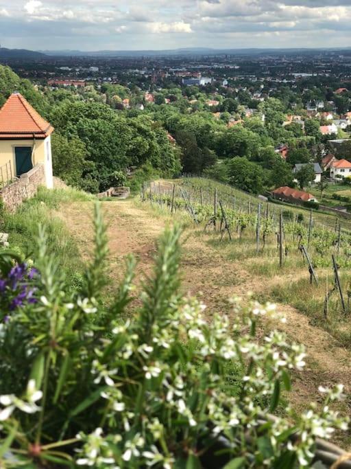 Wohlfuehl-Apartment Am Paradiesberg Radebeul Zewnętrze zdjęcie